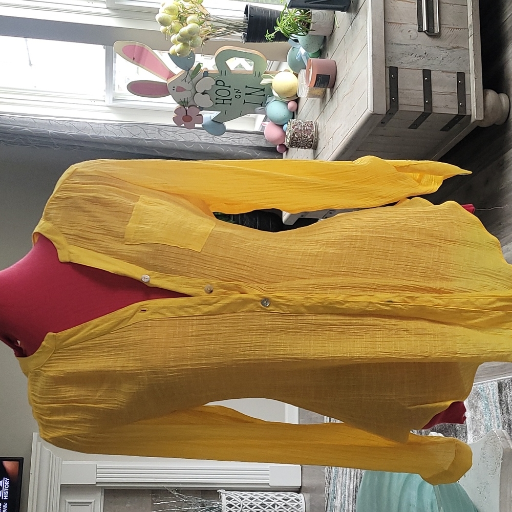 Zac & Rachel Lightweight Yellow Button-Front Blouse